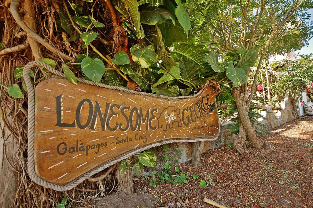 Lonesome George Ecolodge Puerto Ayora  Eksteriør billede